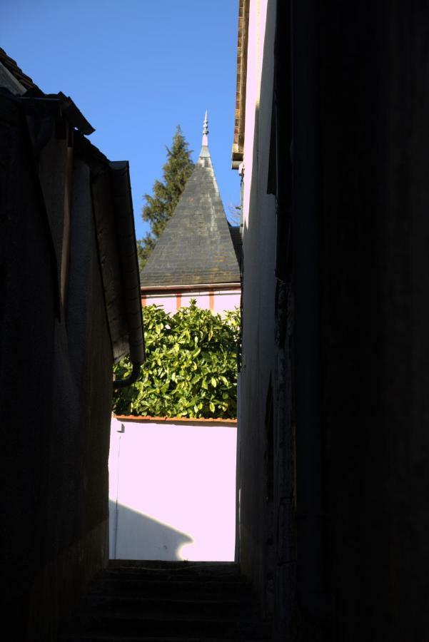 Gite "La Mesangerie" Villa Chateau-Renard Bagian luar foto